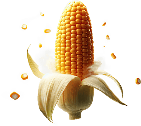 Misir
